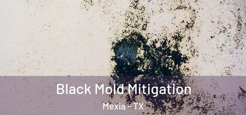 Black Mold Mitigation Mexia - TX