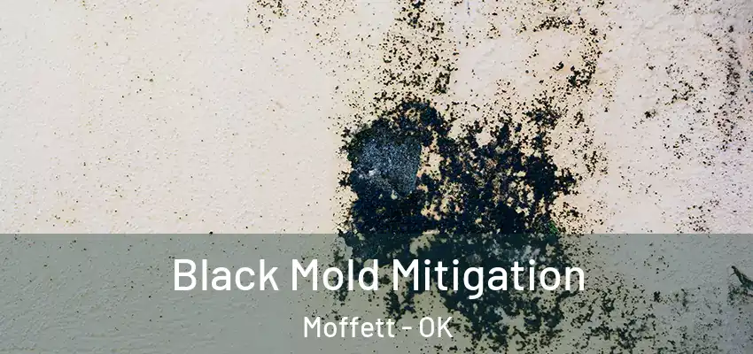  Black Mold Mitigation Moffett - OK