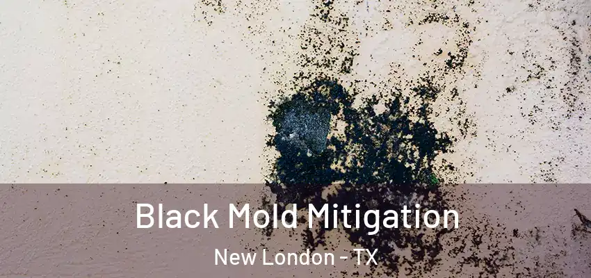  Black Mold Mitigation New London - TX