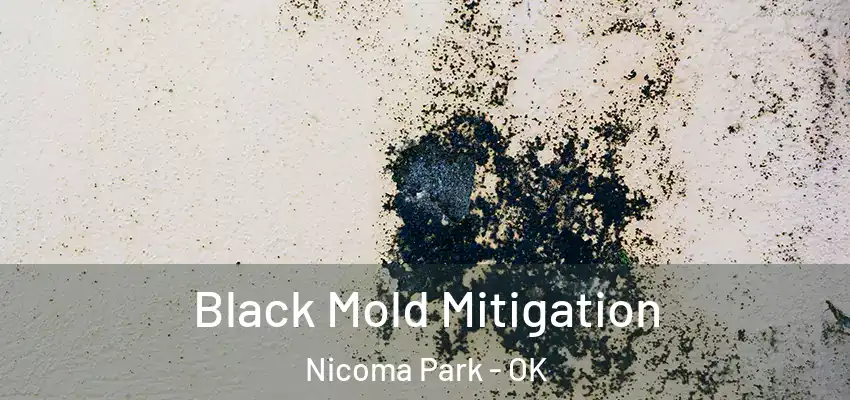  Black Mold Mitigation Nicoma Park - OK