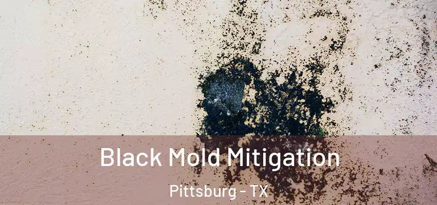 Black Mold Mitigation Pittsburg - TX