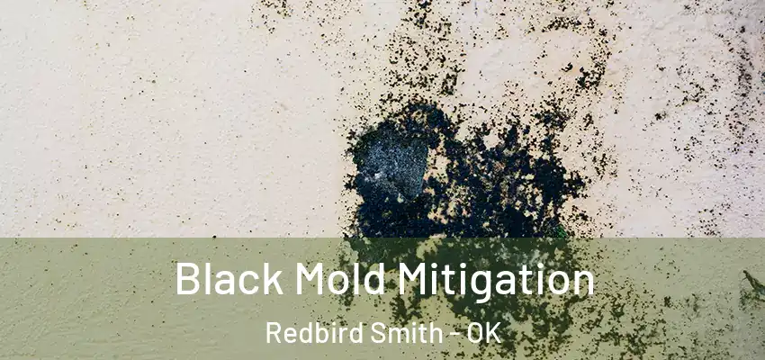  Black Mold Mitigation Redbird Smith - OK
