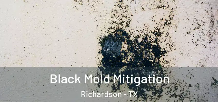Black Mold Mitigation Richardson - TX