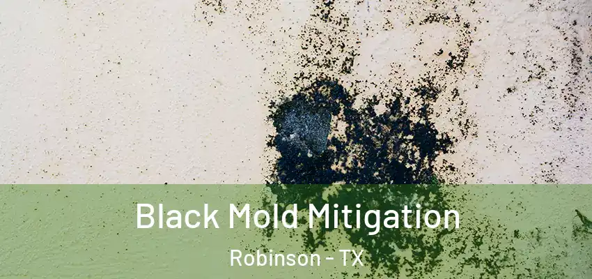  Black Mold Mitigation Robinson - TX