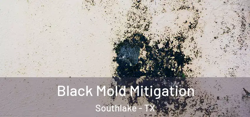  Black Mold Mitigation Southlake - TX