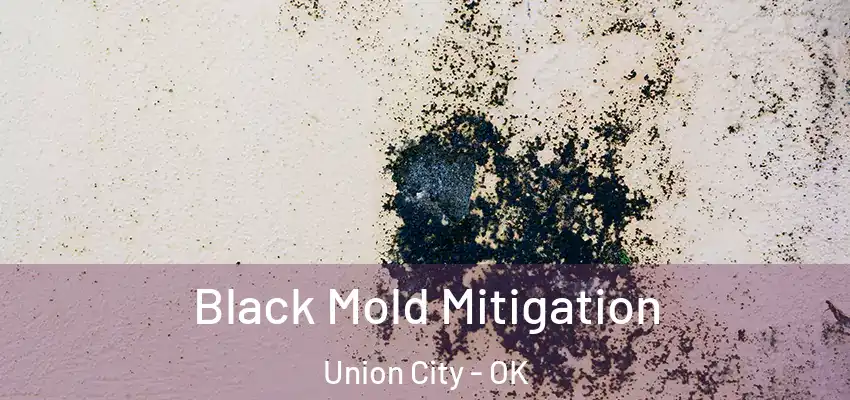 Black Mold Mitigation Union City - OK