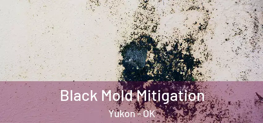  Black Mold Mitigation Yukon - OK
