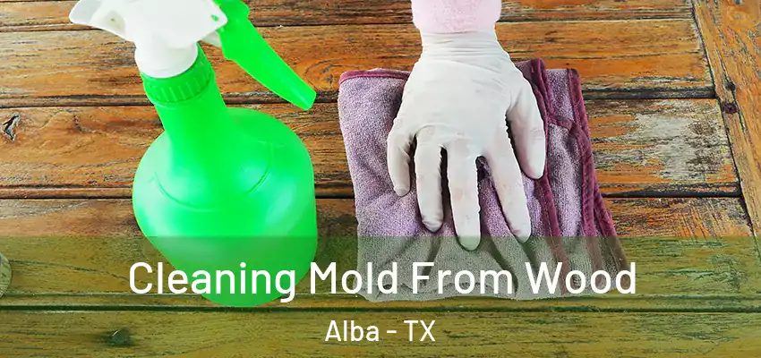 Cleaning Mold From Wood Alba - TX