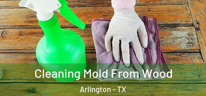  Cleaning Mold From Wood Arlington - TX
