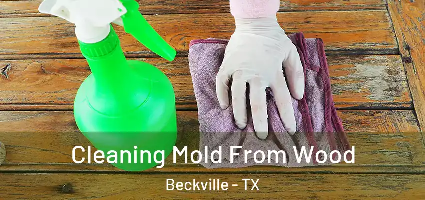  Cleaning Mold From Wood Beckville - TX