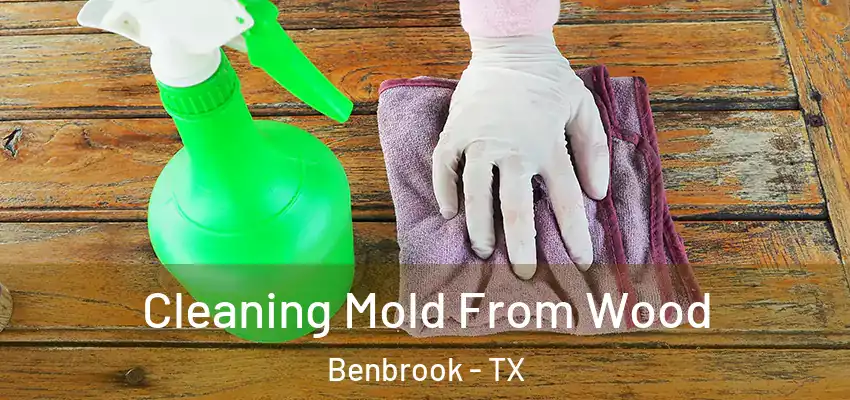  Cleaning Mold From Wood Benbrook - TX