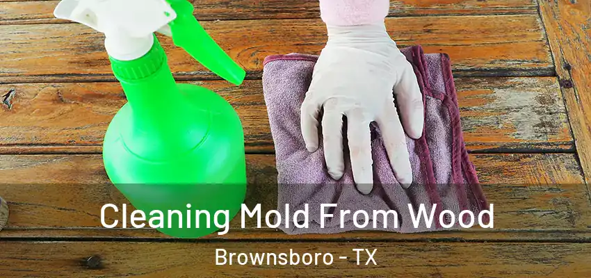  Cleaning Mold From Wood Brownsboro - TX
