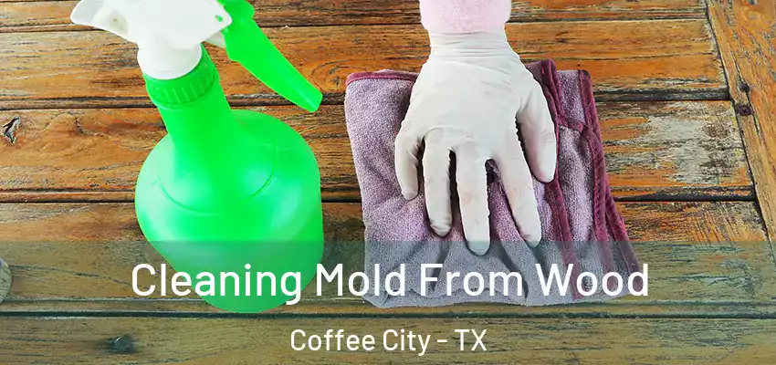  Cleaning Mold From Wood Coffee City - TX