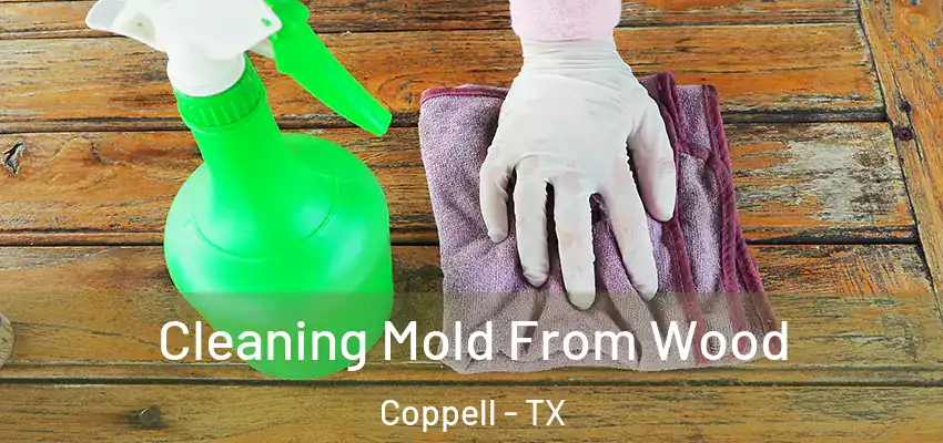 Cleaning Mold From Wood Coppell - TX