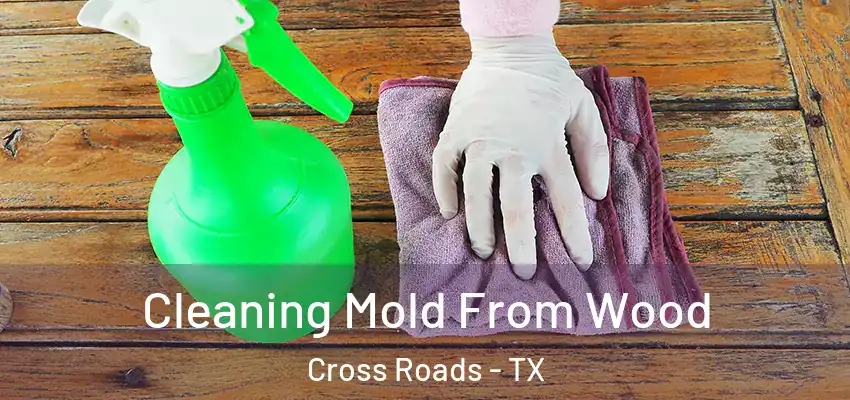 Cleaning Mold From Wood Cross Roads - TX