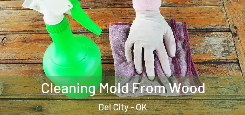  Cleaning Mold From Wood Del City - OK
