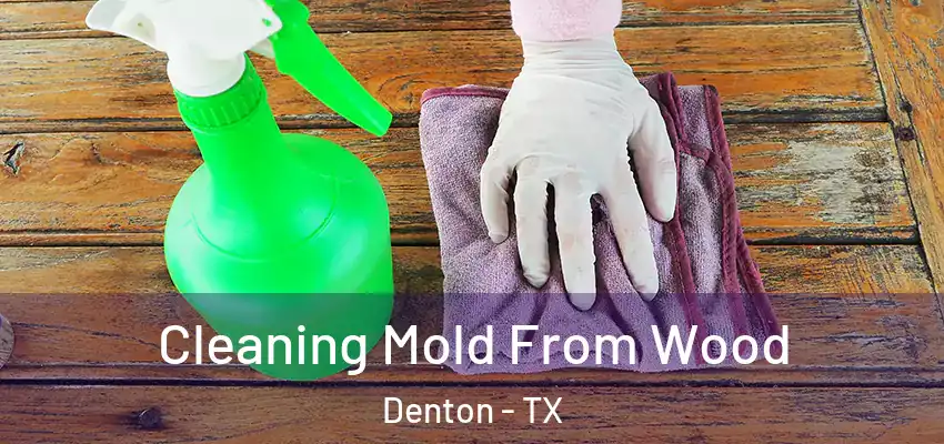 Cleaning Mold From Wood Denton - TX