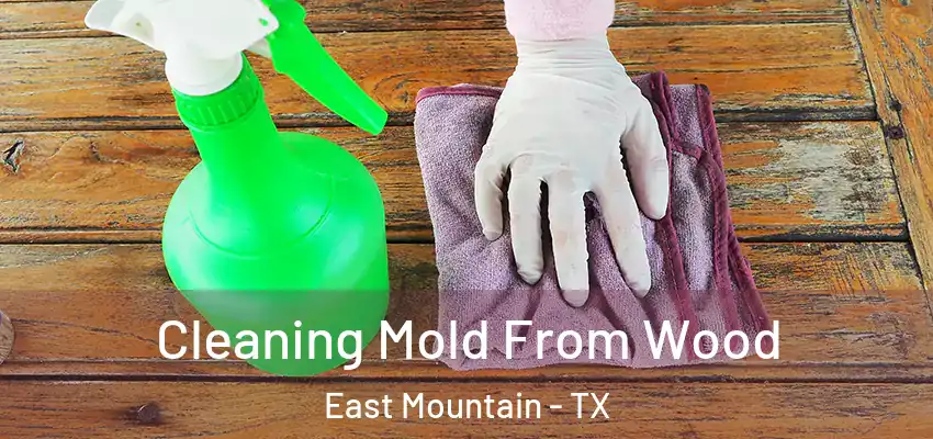  Cleaning Mold From Wood East Mountain - TX