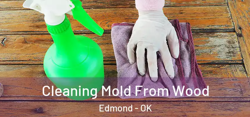  Cleaning Mold From Wood Edmond - OK