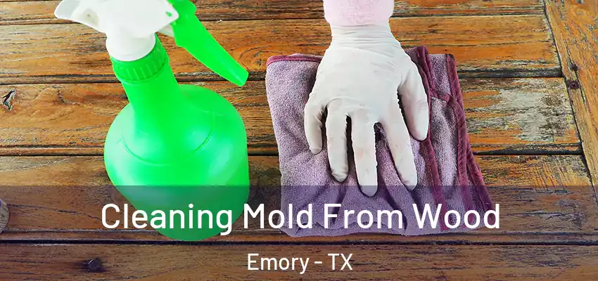 Cleaning Mold From Wood Emory - TX