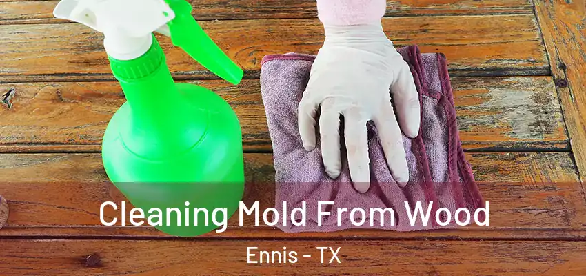 Cleaning Mold From Wood Ennis - TX
