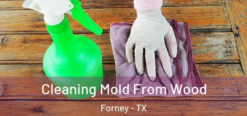  Cleaning Mold From Wood Forney - TX