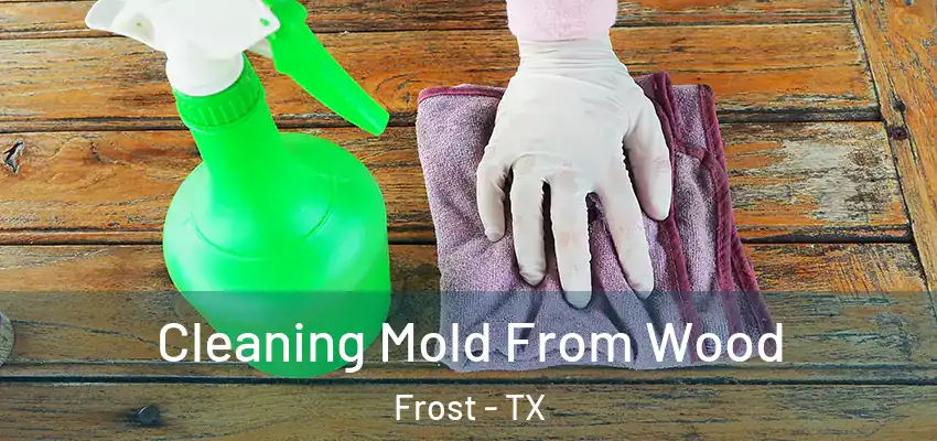  Cleaning Mold From Wood Frost - TX