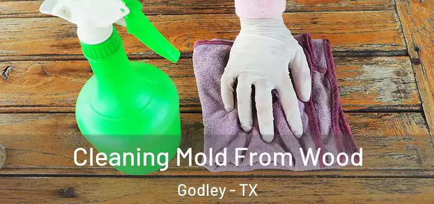  Cleaning Mold From Wood Godley - TX