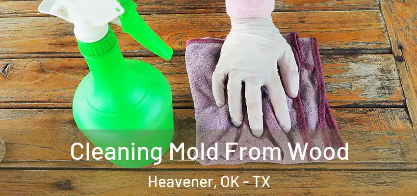  Cleaning Mold From Wood Heavener, OK - TX