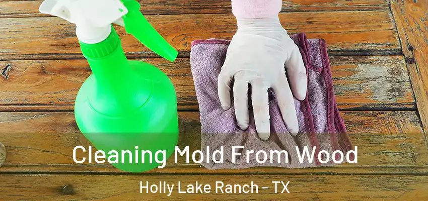  Cleaning Mold From Wood Holly Lake Ranch - TX