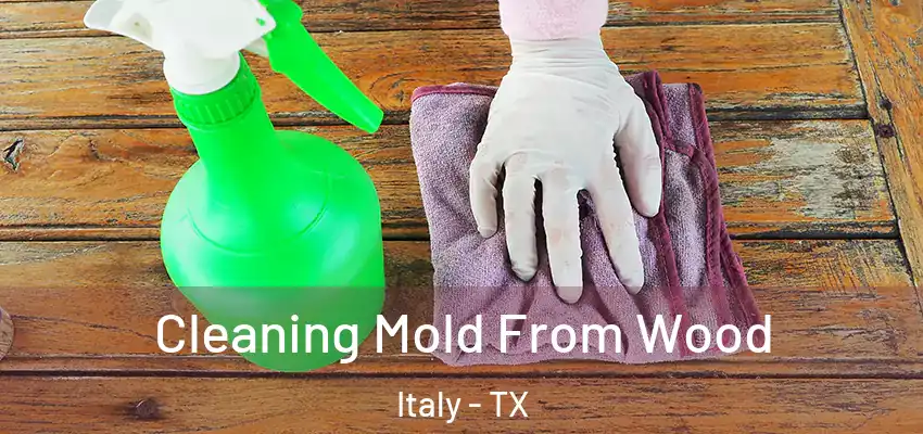 Cleaning Mold From Wood Italy - TX
