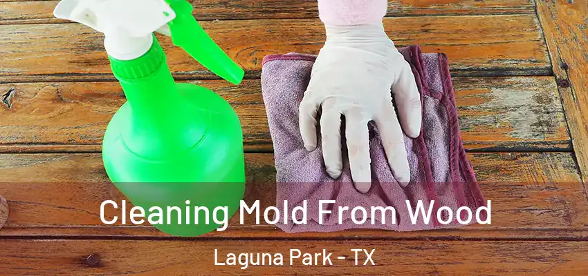  Cleaning Mold From Wood Laguna Park - TX