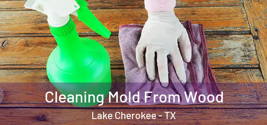  Cleaning Mold From Wood Lake Cherokee - TX