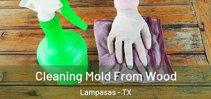  Cleaning Mold From Wood Lampasas - TX
