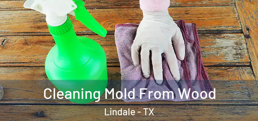  Cleaning Mold From Wood Lindale - TX