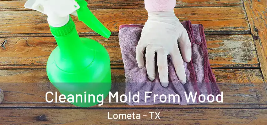  Cleaning Mold From Wood Lometa - TX
