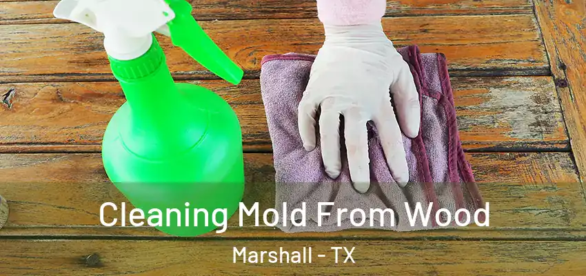  Cleaning Mold From Wood Marshall - TX