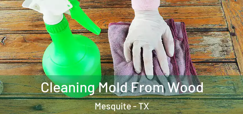 Cleaning Mold From Wood Mesquite - TX