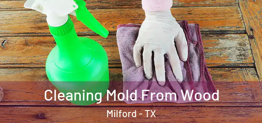  Cleaning Mold From Wood Milford - TX