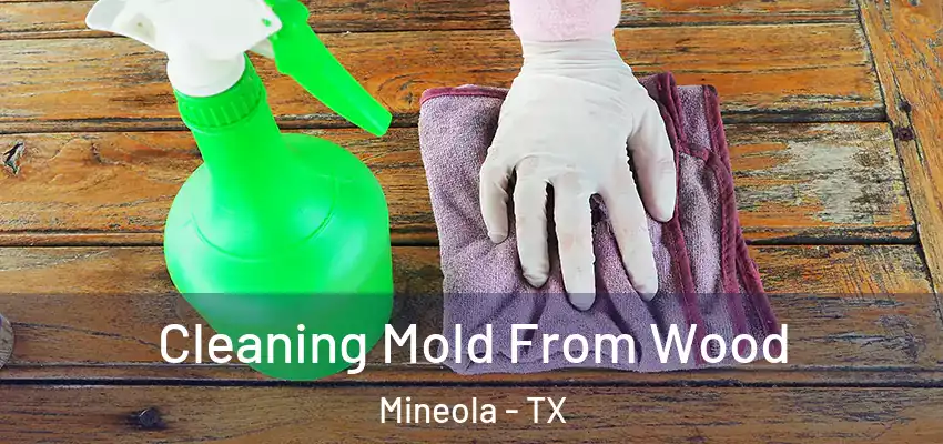  Cleaning Mold From Wood Mineola - TX