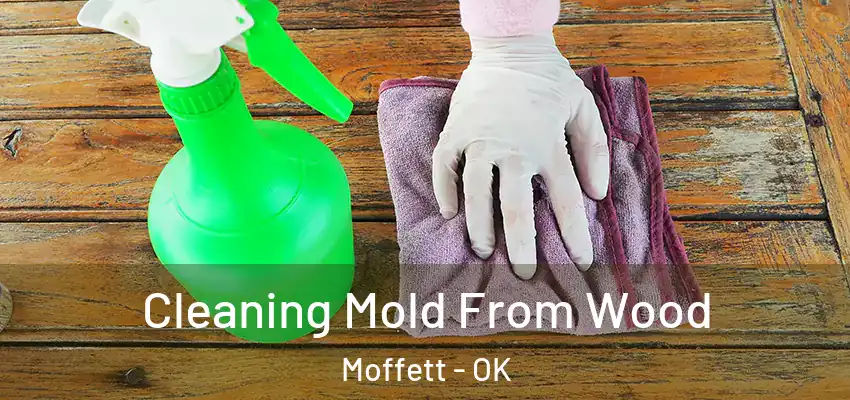  Cleaning Mold From Wood Moffett - OK