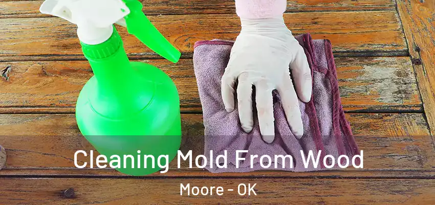 Cleaning Mold From Wood Moore - OK