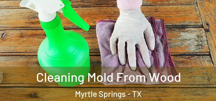  Cleaning Mold From Wood Myrtle Springs - TX