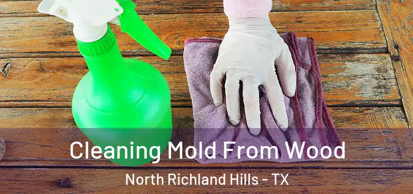  Cleaning Mold From Wood North Richland Hills - TX
