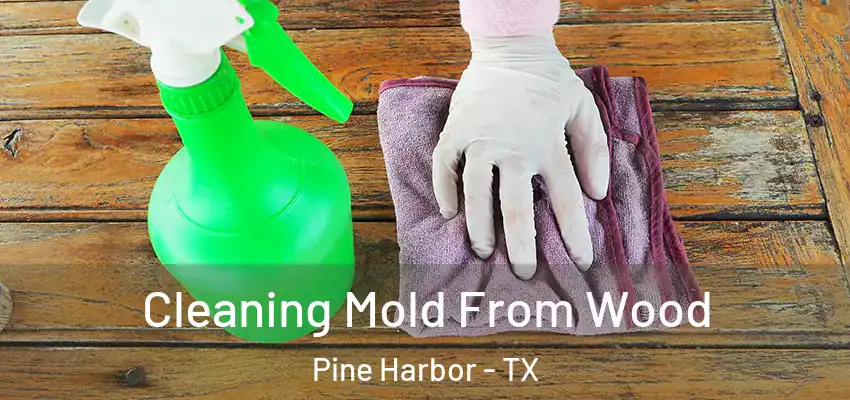 Cleaning Mold From Wood Pine Harbor - TX
