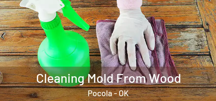  Cleaning Mold From Wood Pocola - OK