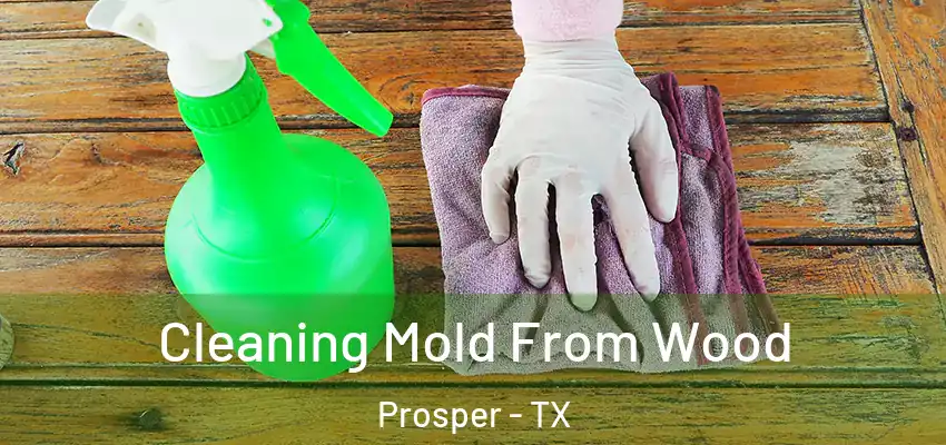  Cleaning Mold From Wood Prosper - TX