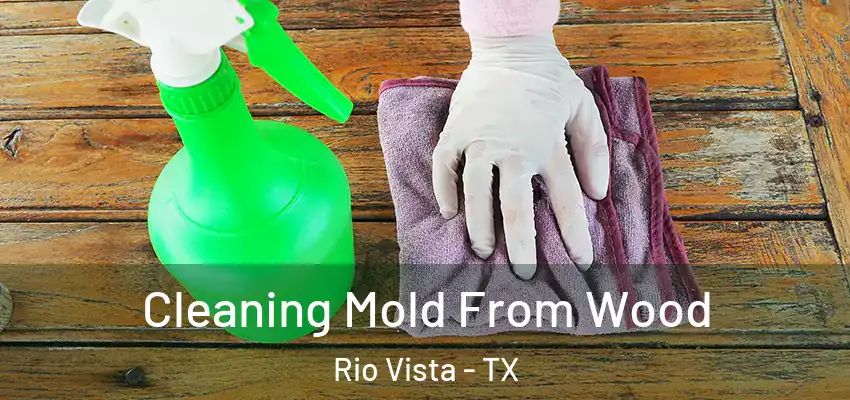  Cleaning Mold From Wood Rio Vista - TX