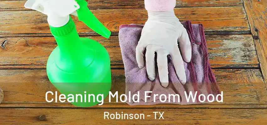 Cleaning Mold From Wood Robinson - TX