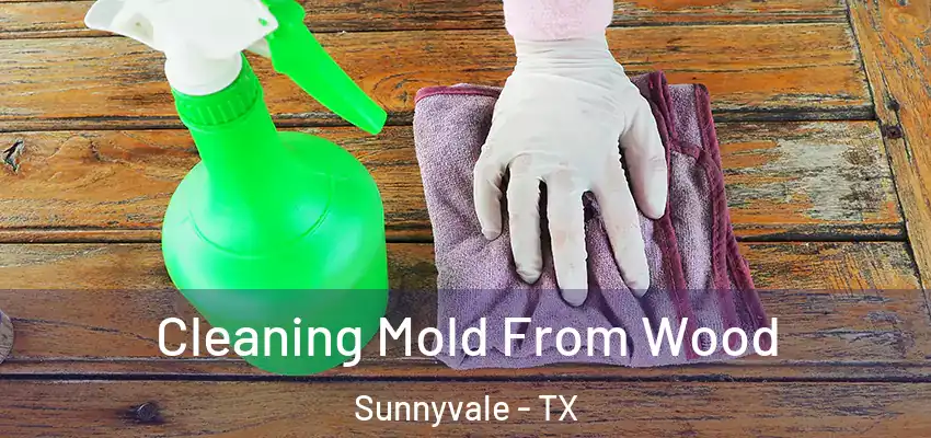  Cleaning Mold From Wood Sunnyvale - TX
